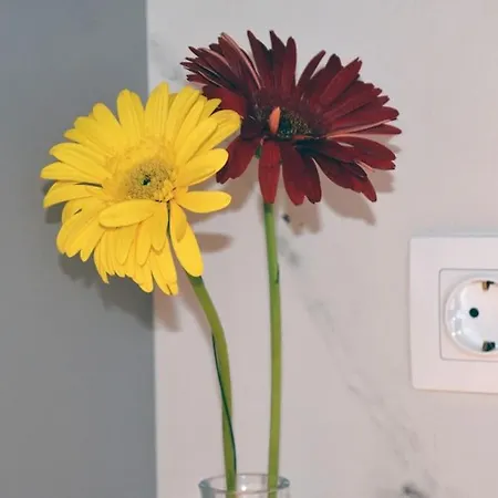 Apartamento Cozy Val